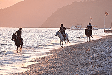 At Safari - Ölüdeniz 